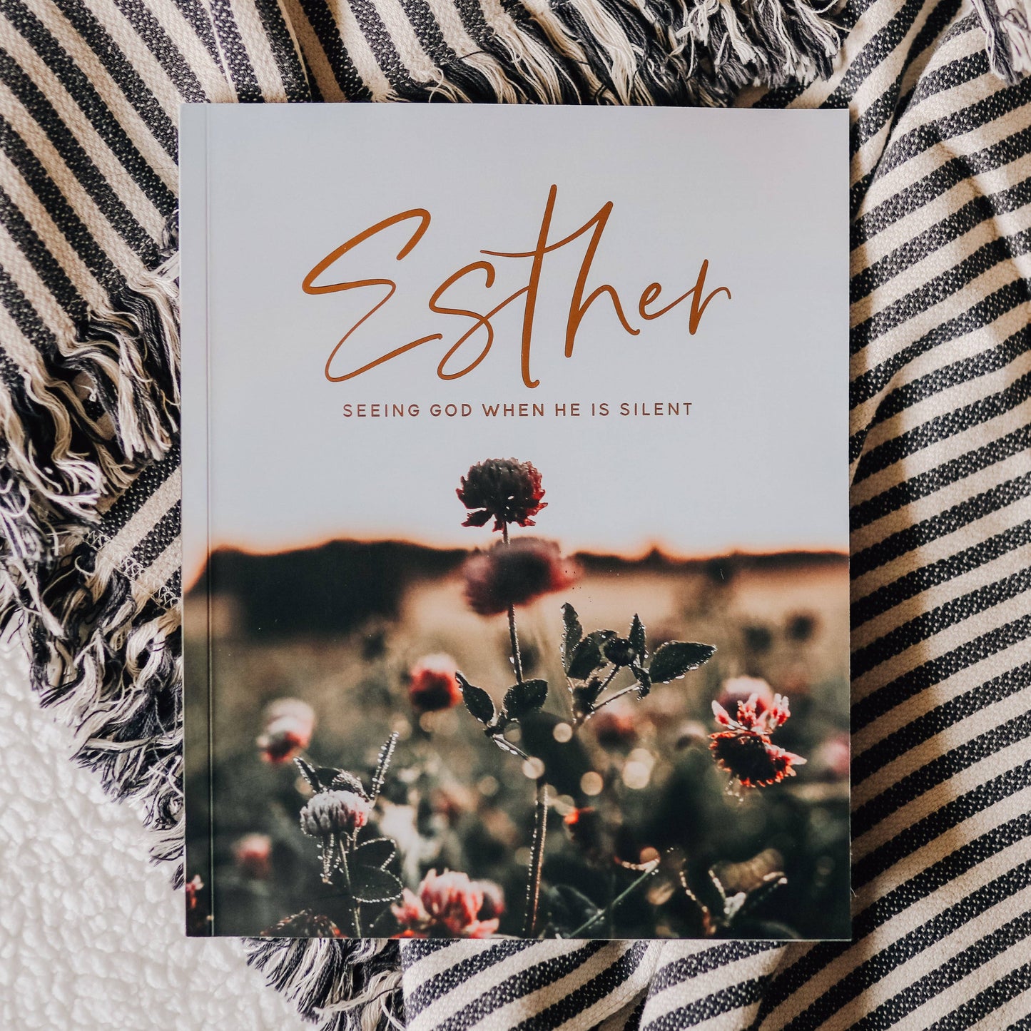 Esther | Seeing God When He Is Silent-The Daily Grace Co-Sister Shirts, Cute & Custom Tees for Mama & Littles in Trussville, Alabama.