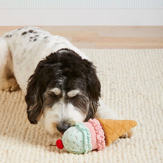 Ice Cream | Interactive Dog Toy-The Foggy Dog-Sister Shirts, Cute & Custom Tees for Mama & Littles in Trussville, Alabama.