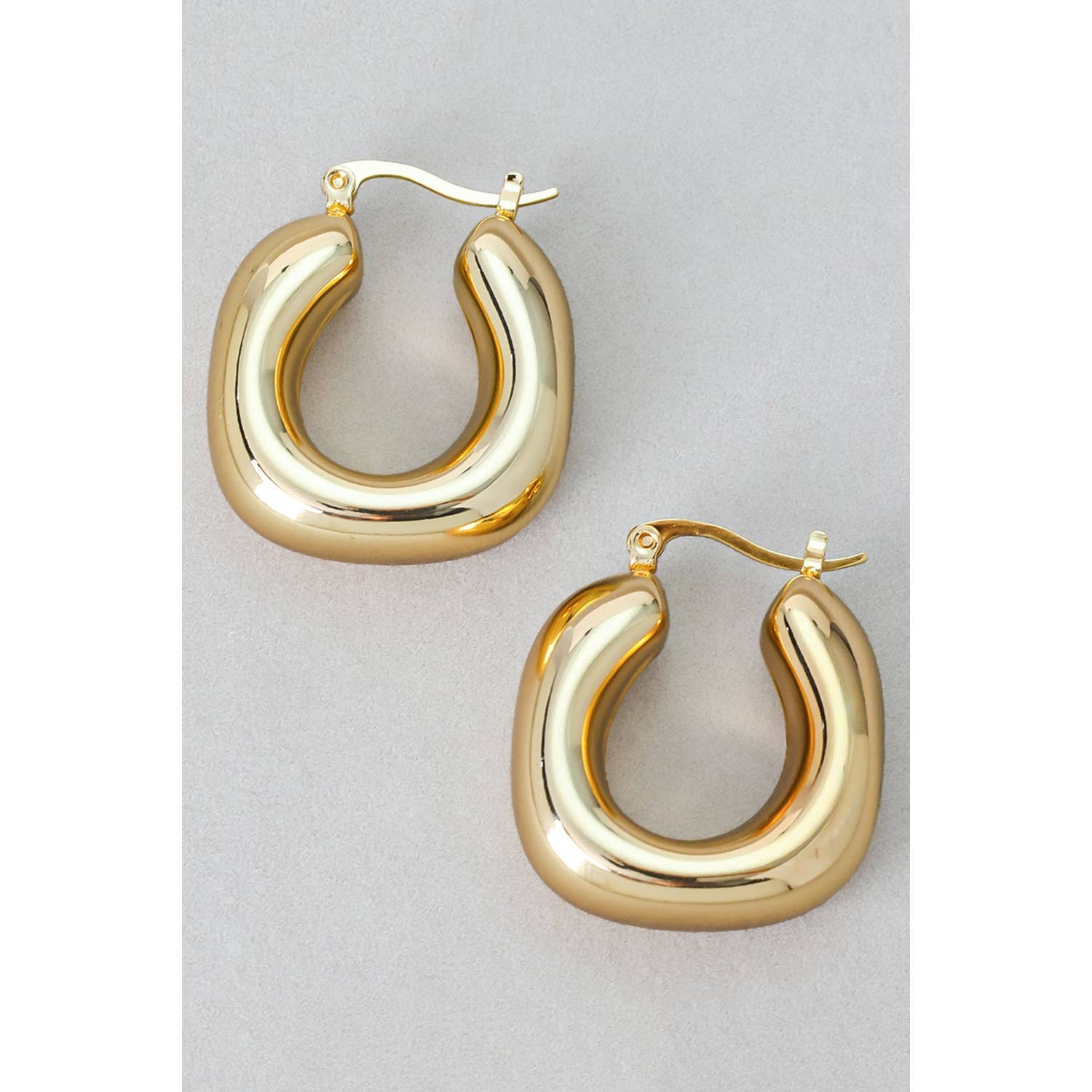 Everyday Luxe | Stainless Steel Hoop Earrings-Women - Jewelry - Earrings-Girly-Sister Shirts, Cute & Custom Tees for Mama & Littles in Trussville, Alabama.