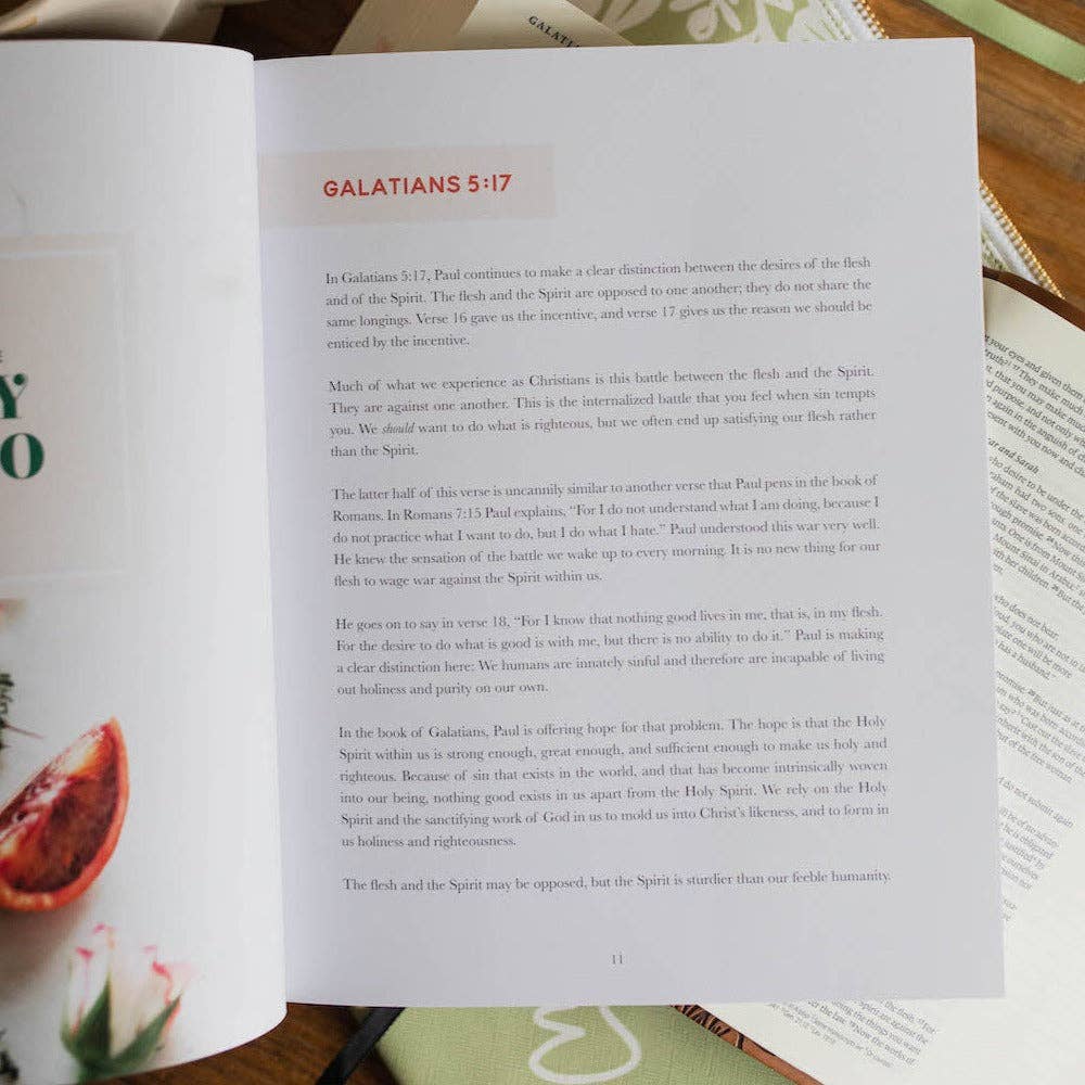 The Fruit of the Spirit | Bible Study-Home - Stationery - Books-The Daily Grace Co-Sister Shirts, Cute & Custom Tees for Mama & Littles in Trussville, Alabama.