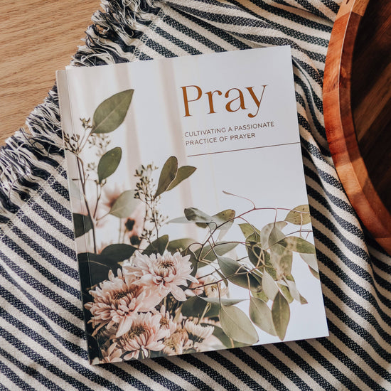 Load image into Gallery viewer, Pray | Cultivating a Passionate Practice of Prayer-The Daily Grace Co-Sister Shirts, Cute &amp;amp; Custom Tees for Mama &amp;amp; Littles in Trussville, Alabama.
