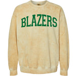 Blazers Foil | Adult Colorblast Crewneck-Women - Tops - Crewnecks-Sister Shirts-Sister Shirts, Cute & Custom Tees for Mama & Littles in Trussville, Alabama.