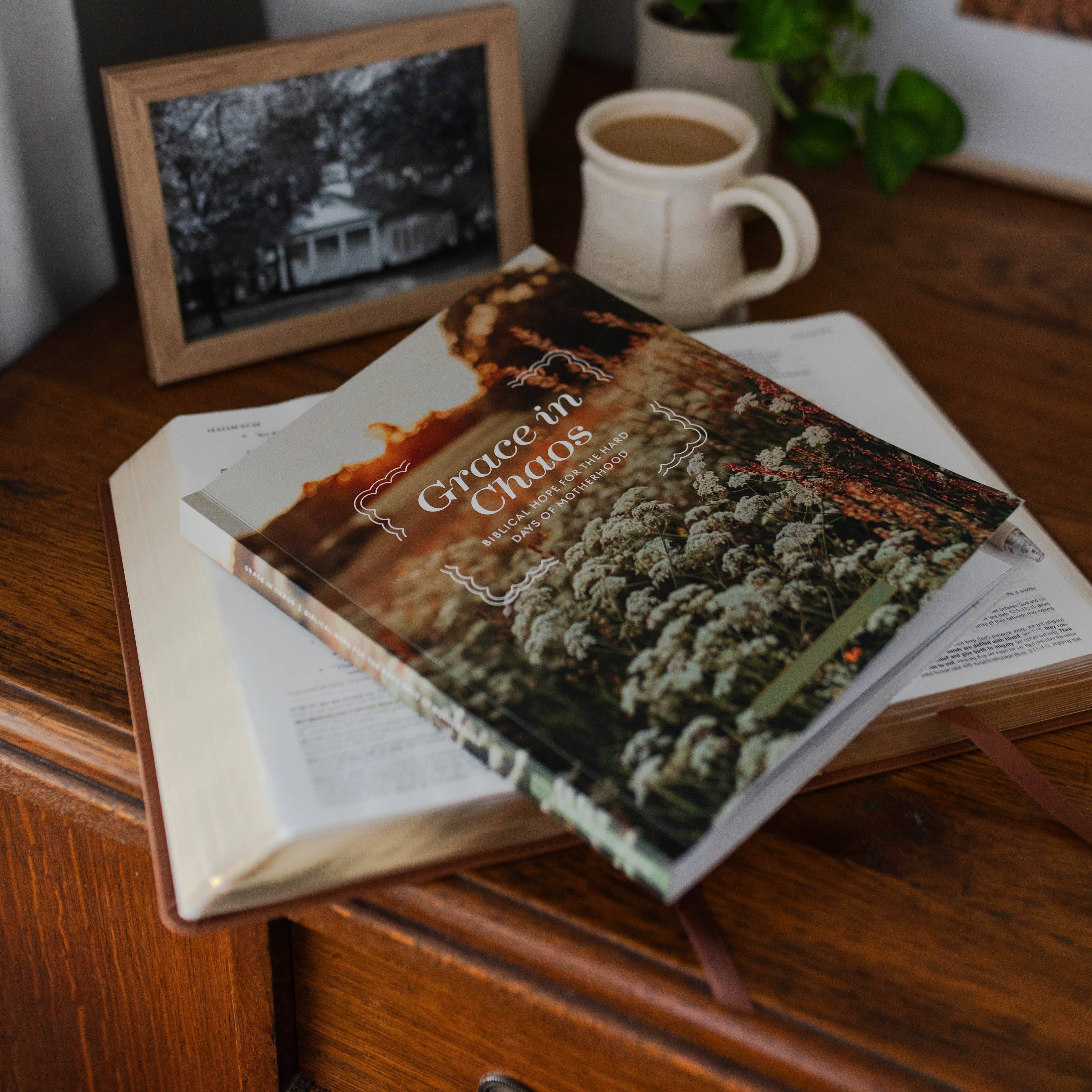 Grace in Chaos | Biblical Hope for the Hard Days of Motherhood-Home - Stationery - Books-The Daily Grace Co-Sister Shirts, Cute & Custom Tees for Mama & Littles in Trussville, Alabama.