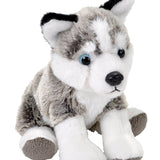 Pocketkins-ECO-Dog Husky Stuffed Animal 5"-Wild Republic-Sister Shirts, Cute & Custom Tees for Mama & Littles in Trussville, Alabama.