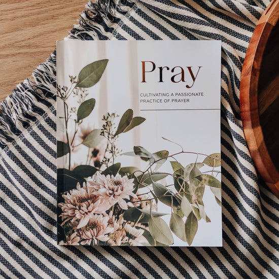 Load image into Gallery viewer, Pray | Cultivating a Passionate Practice of Prayer-The Daily Grace Co-Sister Shirts, Cute &amp;amp; Custom Tees for Mama &amp;amp; Littles in Trussville, Alabama.
