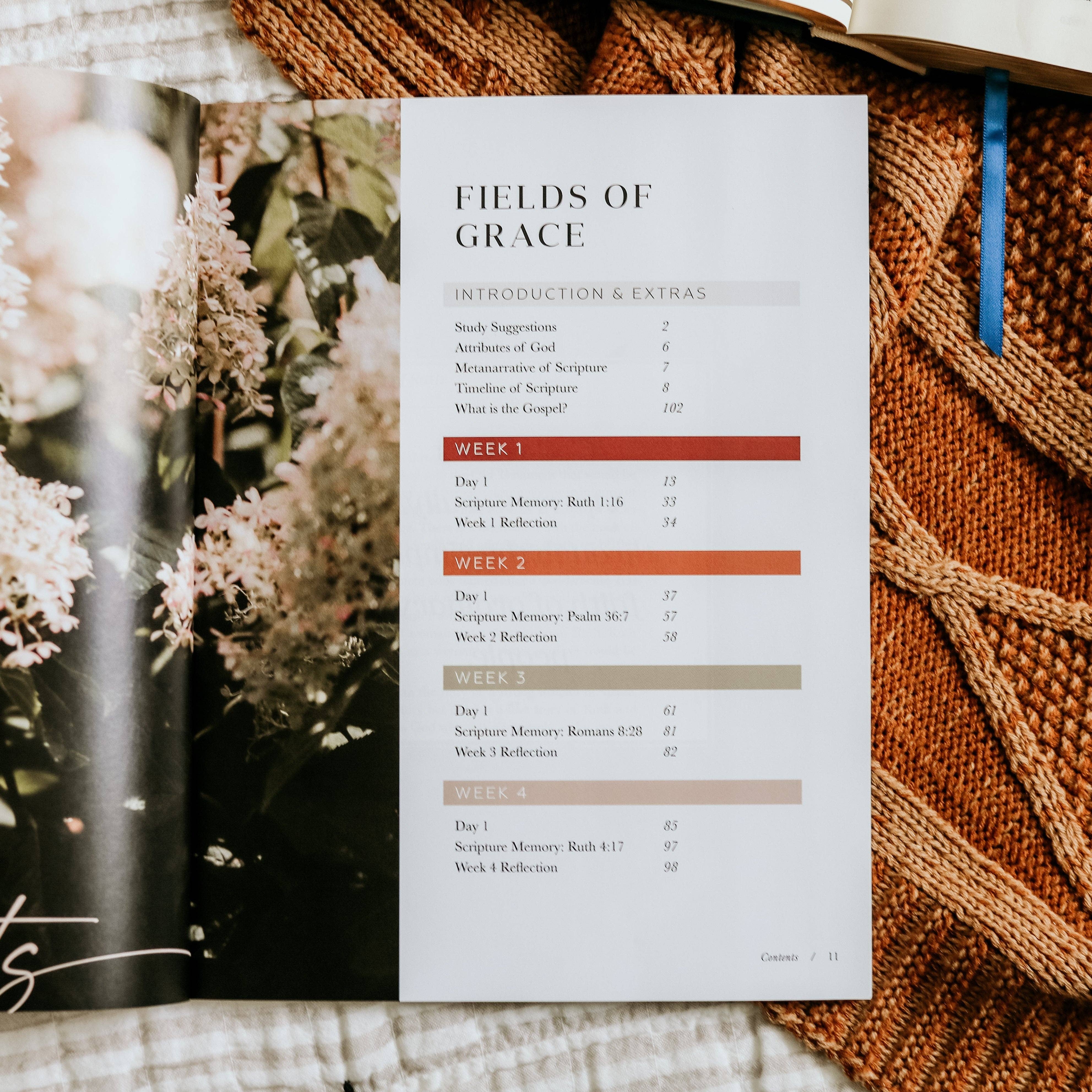 Ruth Study | Fields of Grace-Home - Stationery - Books-The Daily Grace Co-Sister Shirts, Cute & Custom Tees for Mama & Littles in Trussville, Alabama.