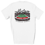 Huskies Stadium | Adult Tee | RTS-Adult Tee-Sister Shirts-Sister Shirts, Cute & Custom Tees for Mama & Littles in Trussville, Alabama.