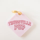 Trussville Pup Pastel Acrylic Pet Tag-Pet-Freshwater Design Co.-Sister Shirts, Cute & Custom Tees for Mama & Littles in Trussville, Alabama.