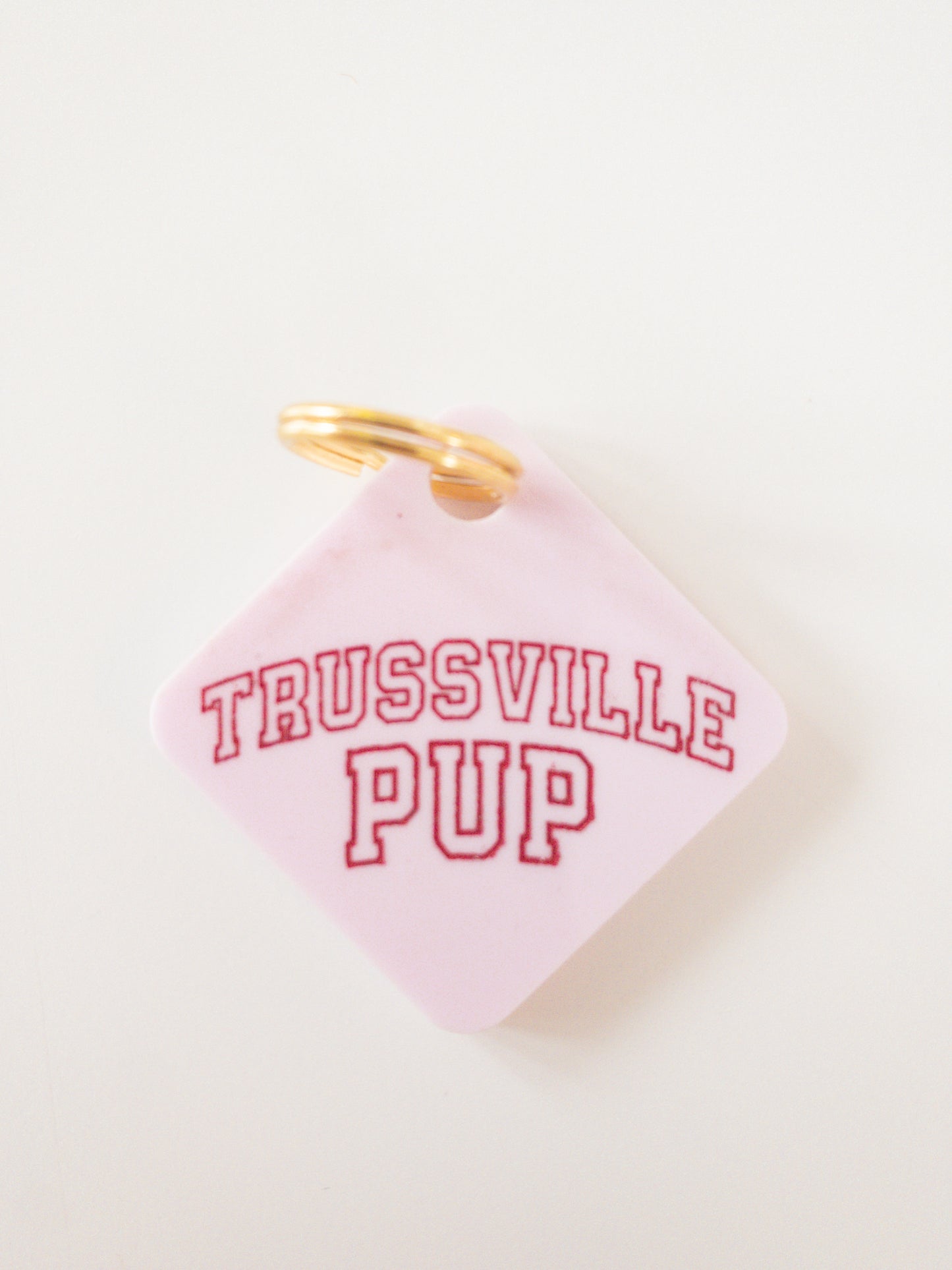 Trussville Pup Pastel Acrylic Pet Tag-Pet-Freshwater Design Co.-Sister Shirts, Cute & Custom Tees for Mama & Littles in Trussville, Alabama.