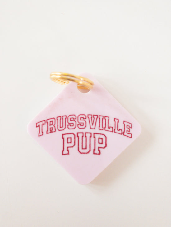 Trussville Pup Pastel Acrylic Pet Tag-Pet-Freshwater Design Co.-Sister Shirts, Cute & Custom Tees for Mama & Littles in Trussville, Alabama.