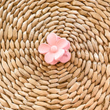 Medium Flower Claw Clip | Daisy Hair Clip-Women - Accessories - Hair-Sister Shirts-Sister Shirts, Cute & Custom Tees for Mama & Littles in Trussville, Alabama.