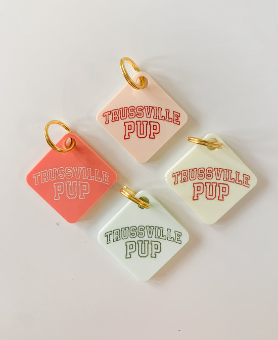 Trussville Pup Pastel Acrylic Pet Tag-Pet-Freshwater Design Co.-Sister Shirts, Cute & Custom Tees for Mama & Littles in Trussville, Alabama.