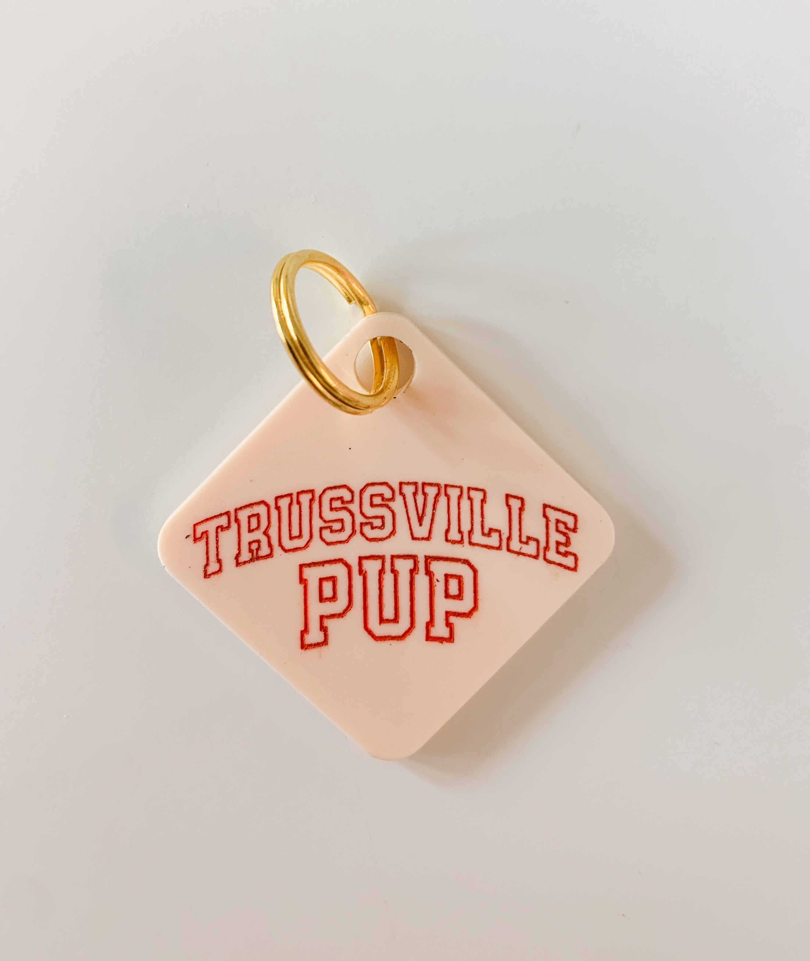 Trussville Pup Pastel Acrylic Pet Tag-Pet-Freshwater Design Co.-Sister Shirts, Cute & Custom Tees for Mama & Littles in Trussville, Alabama.