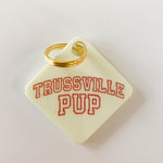Trussville Pup Pastel Acrylic Pet Tag-Pet-Freshwater Design Co.-Sister Shirts, Cute & Custom Tees for Mama & Littles in Trussville, Alabama.