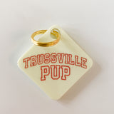 Trussville Pup Pastel Acrylic Pet Tag-Pet-Freshwater Design Co.-Sister Shirts, Cute & Custom Tees for Mama & Littles in Trussville, Alabama.