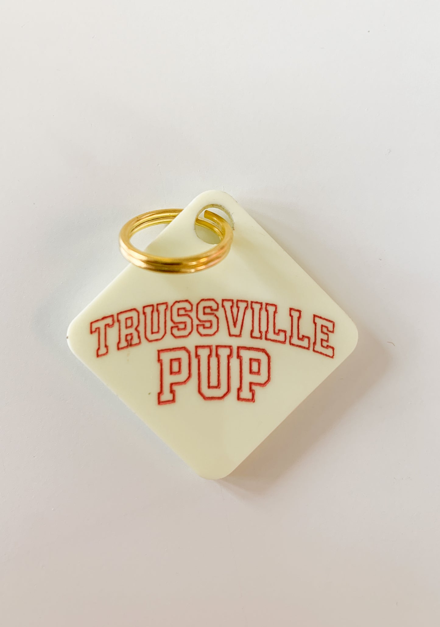 Trussville Pup Pastel Acrylic Pet Tag-Pet-Freshwater Design Co.-Sister Shirts, Cute & Custom Tees for Mama & Littles in Trussville, Alabama.