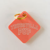 Trussville Pup Pastel Acrylic Pet Tag-Pet-Freshwater Design Co.-Sister Shirts, Cute & Custom Tees for Mama & Littles in Trussville, Alabama.