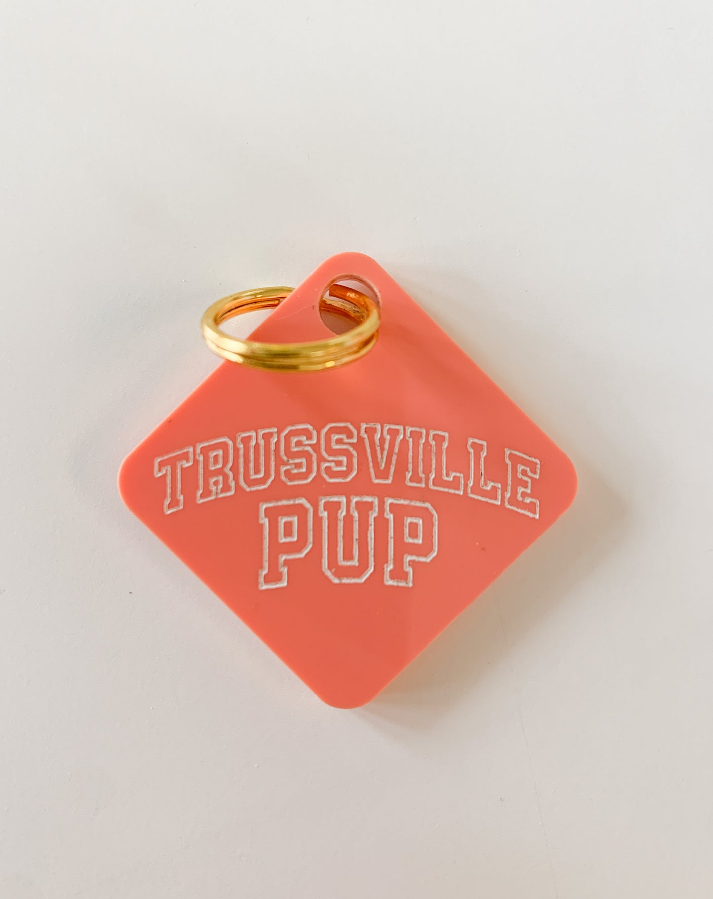 Trussville Pup Pastel Acrylic Pet Tag-Pet-Freshwater Design Co.-Sister Shirts, Cute & Custom Tees for Mama & Littles in Trussville, Alabama.