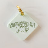 Trussville Pup Pastel Acrylic Pet Tag-Pet-Freshwater Design Co.-Sister Shirts, Cute & Custom Tees for Mama & Littles in Trussville, Alabama.