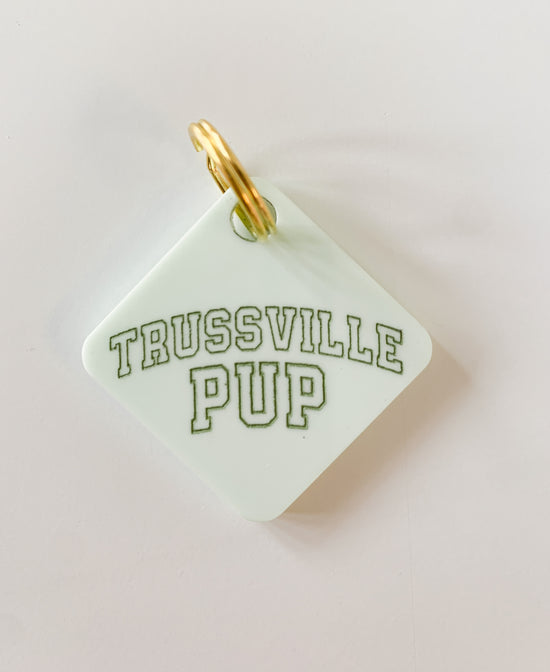 Trussville Pup Pastel Acrylic Pet Tag-Pet-Freshwater Design Co.-Sister Shirts, Cute & Custom Tees for Mama & Littles in Trussville, Alabama.